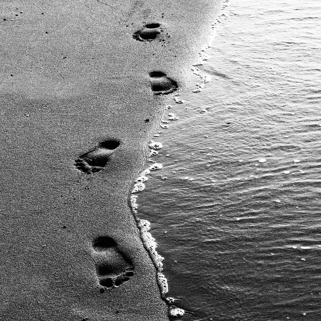 Take nothing leave only your footprints.